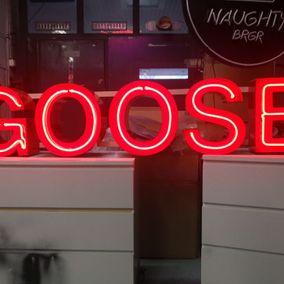 Goose-neonmainos